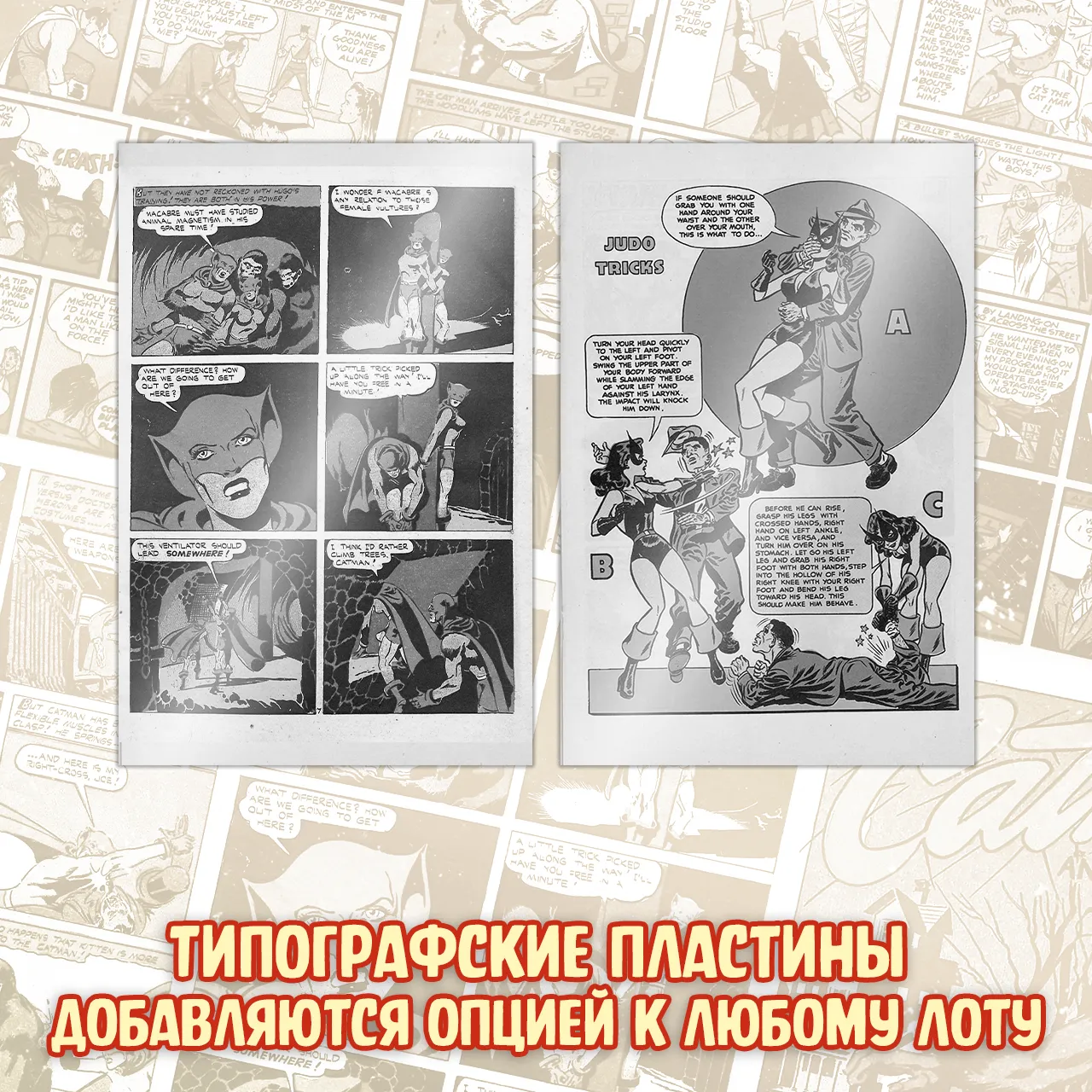 069 Мартовские Коты_plastins.webp