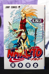 Naruto Vol 06