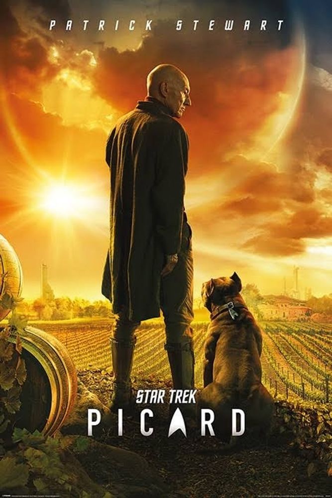 Лицензионный постер (319) Star Trek Picard (Picard Number One)