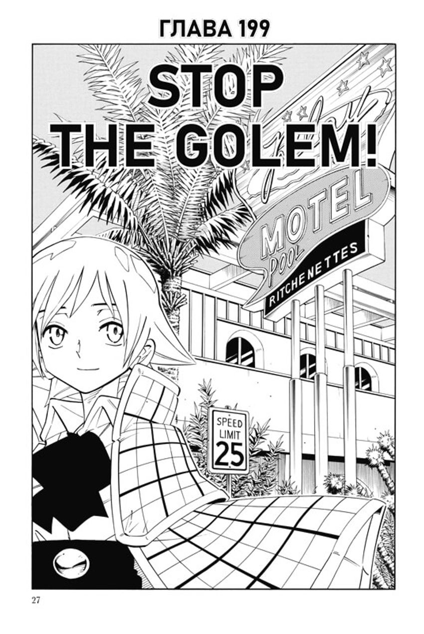 Король шаманов. Том 12