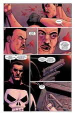 Каратель Max. Омнибус