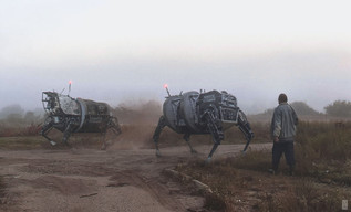 Открытка "Пастух"