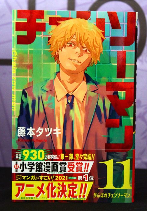 Chainsaw Man Vol 11