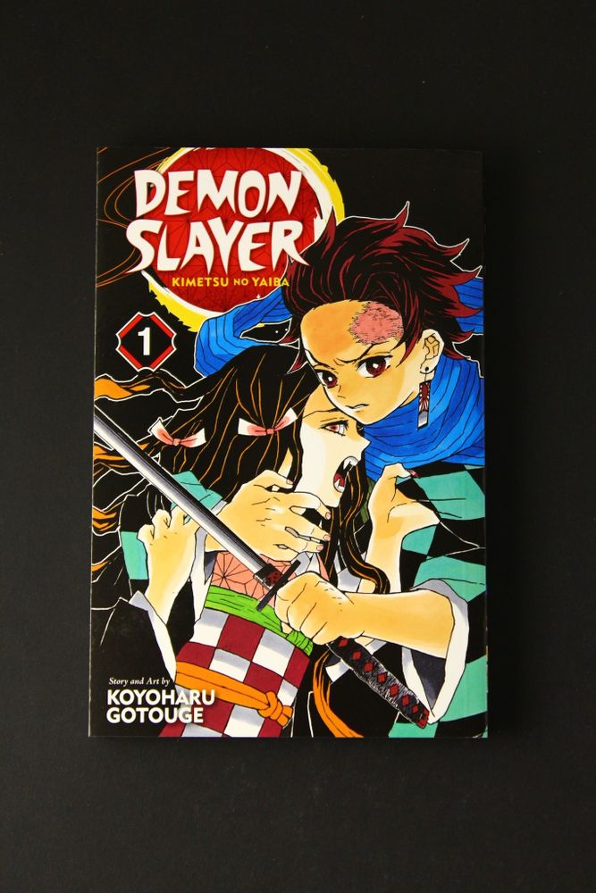 Demon Slayer Vol 01