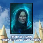 Harry Potter crowdfunding