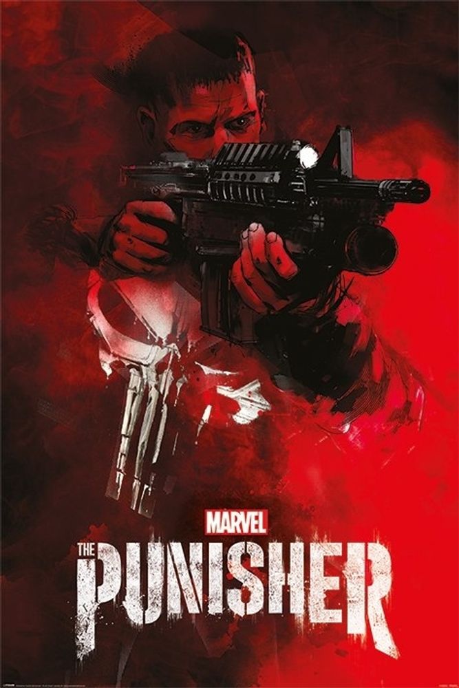Лицензионный постер (128) The Punisher (Aim)