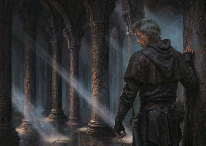 Вьюга теней. Коллекционное издание