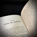 Палп-фикшн. Паук. Паук наносит удар