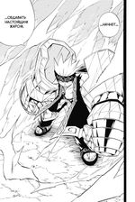 Король шаманов. Том 13