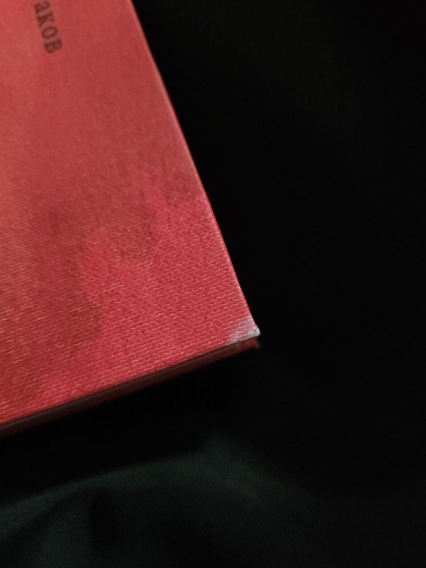 Мастер и Маргарита с иллюстрациями Нади Рушевой. УЦЕНЁННЫЙ ТОВАР