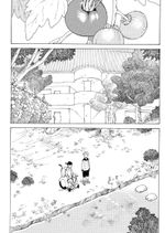 Иллюзия рая. Том 1