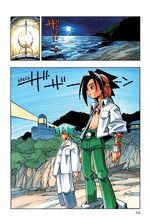 Король шаманов. Том 8