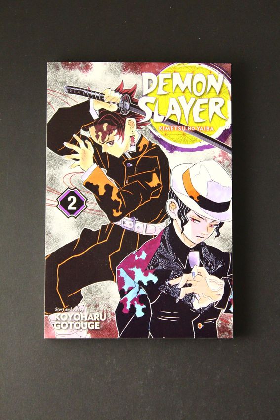 Demon Slayer Vol 02 Demon Slayer Vol 02