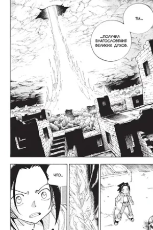 Король шаманов. Том 7