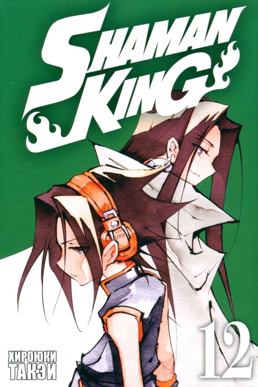 Король шаманов. Том 12