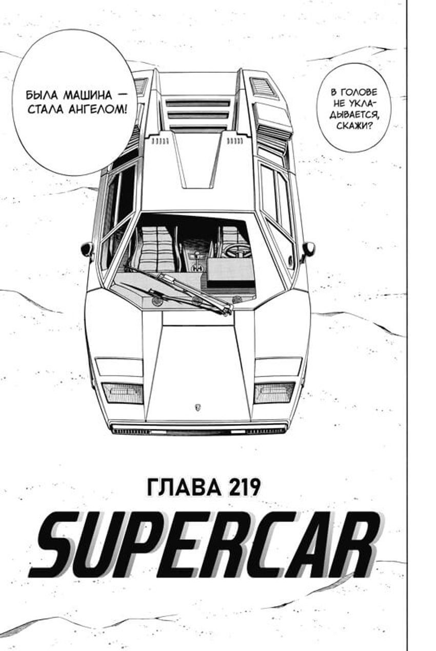 Король шаманов. Том 13