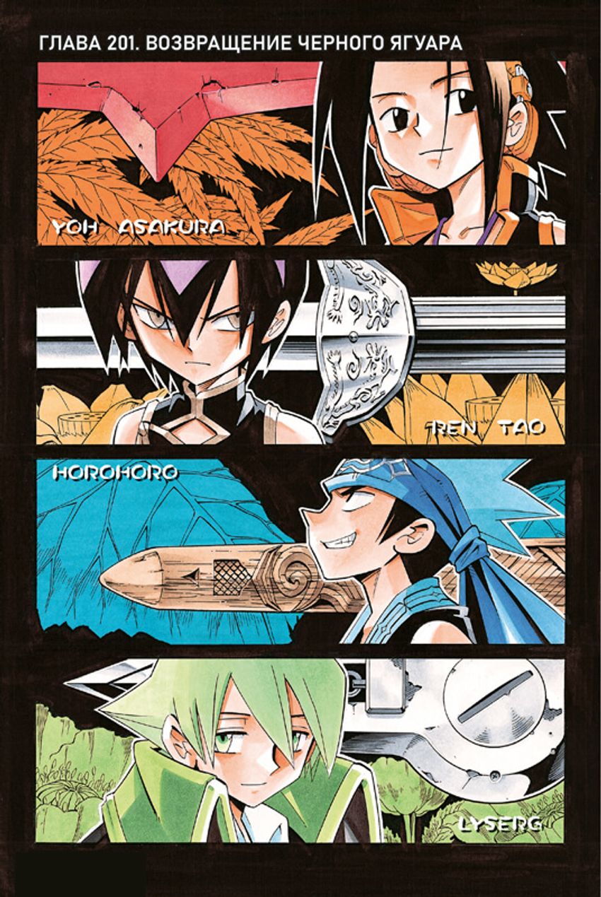 Король шаманов. Том 12