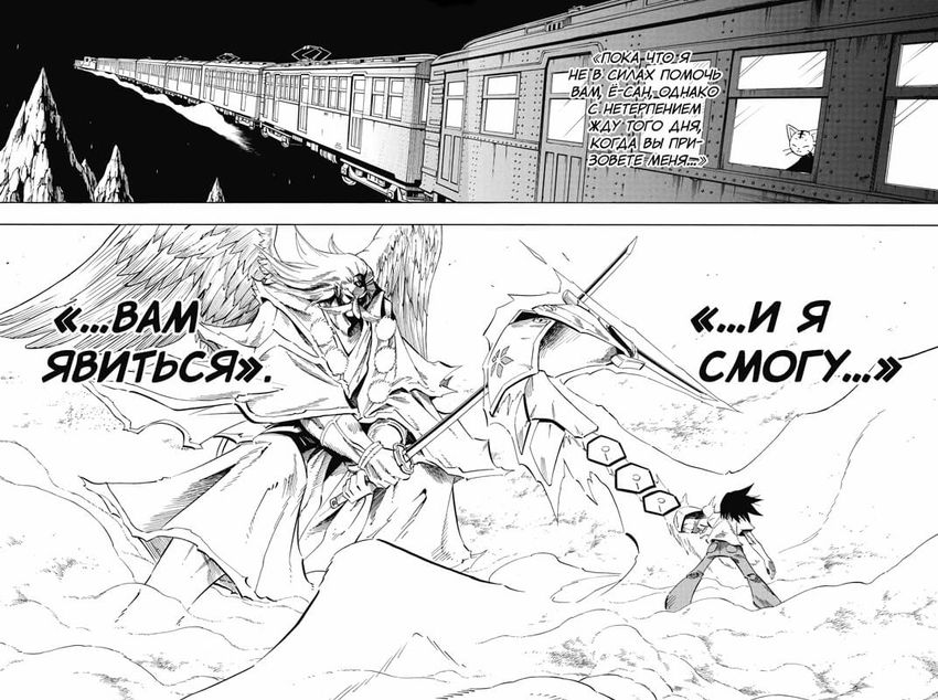 Король шаманов. Том 14