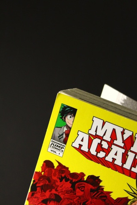 My Hero Academia Vol 01 (брак)