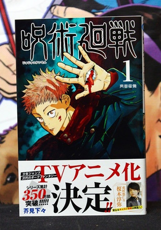 Jujutsu Kaisen Vol 01