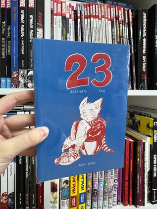 Двадцать три (23)