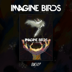 Постер “BUBBLE Дискотека: Воображаемые Птицы”