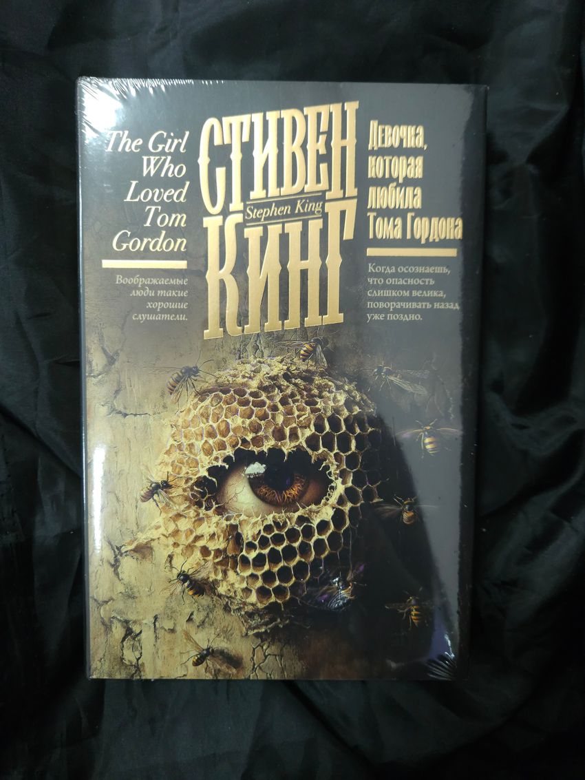 Девочка, которая любила Тома Гордона