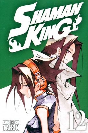 Король шаманов. Том 12