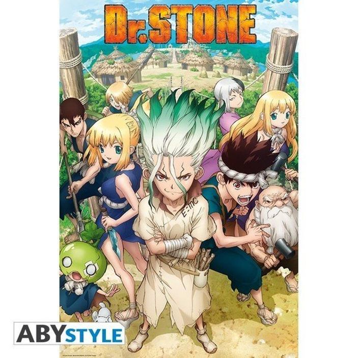 Лицензионный постер (429) DR STONE