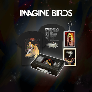 Набор "BUBBLE Дискотека: Воображаемые Птицы"