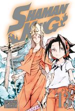 Король шаманов. Том 13