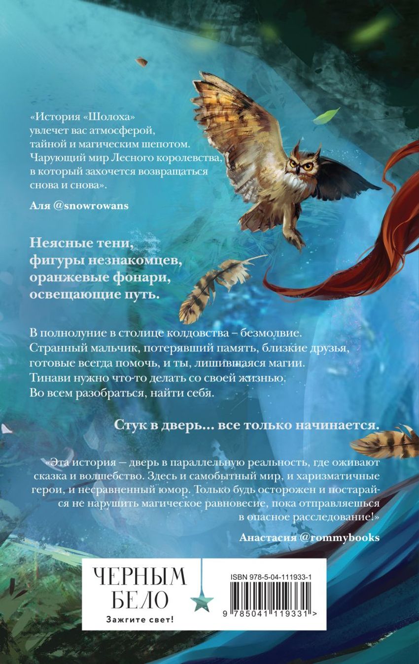 Шолох. Теневые блики