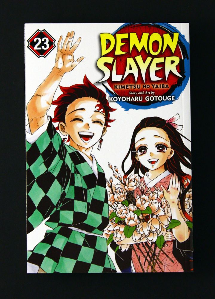 Demon Slayer Vol 23