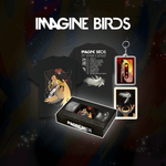 Набор "BUBBLE Дискотека: Воображаемые Птицы"