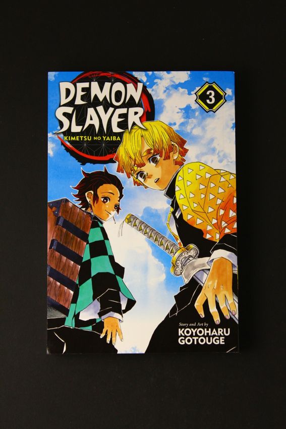 Demon Slayer Vol 03 Demon Slayer Vol 03