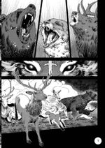 Невельской. Плоды воображения. Том 2