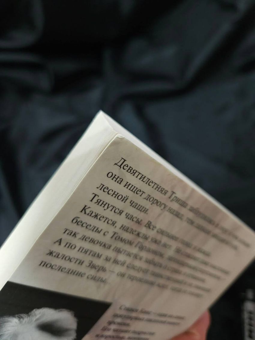 Девочка, которая любила Тома Гордона. УЦЕНЁННЫЙ ТОВАР