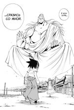 Король шаманов. Том 13