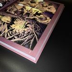 Архивы Богов. Полиглот