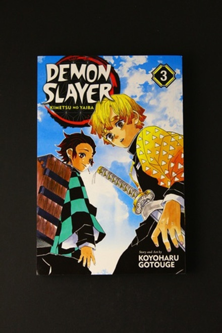 Demon Slayer Vol 03