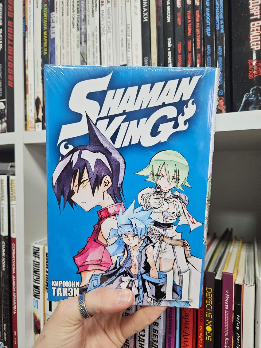 Король шаманов. Том 11