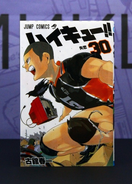 Haikyu!! Vol 30