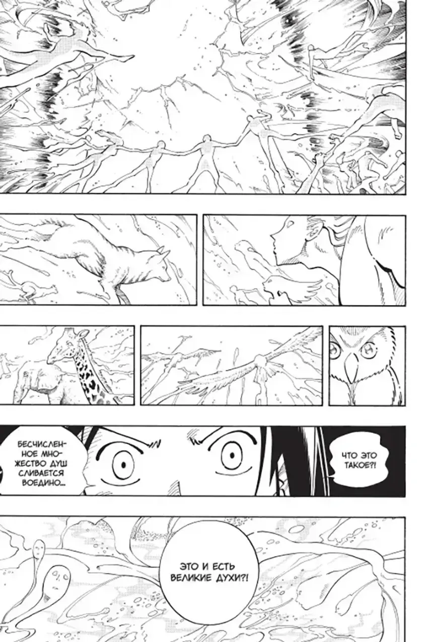 Король шаманов. Том 7